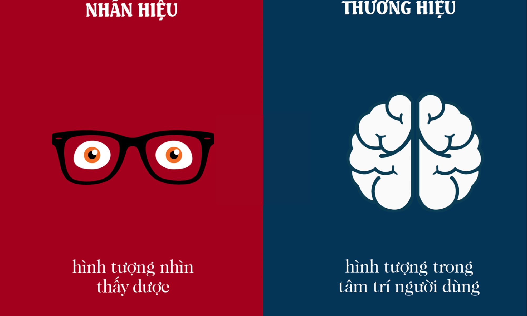 thương hiệu và nhãn hiệu