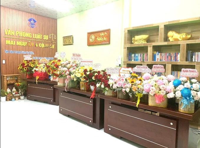 Văn phòng Luật sư Mai Nguyễn & Cộng Sự